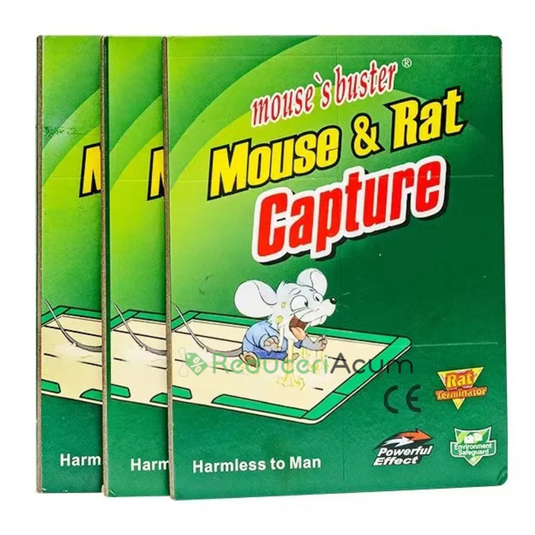 SET DE 10 BUCATI! Capcana pentru sobolani LIPICIOS