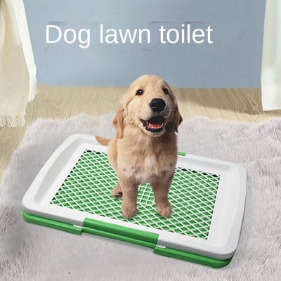 TOALETA PENTRU CAINI, GAZON ARTIFICIAL