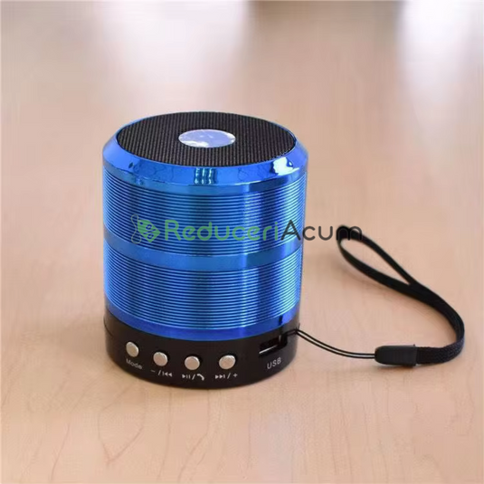 BOXA MINI PORTABILA WS-887, BLUETOOTH, USB, MP3